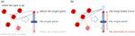1714392516 41598 2023 49559 Fig1 HTML thumb