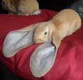 IMG 20171208 091729 272 thumb