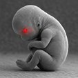 1756512895 Make the eyes glowing red. Everything else should remain monochrome black and white thumb