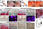 1757551419 image0 thumb