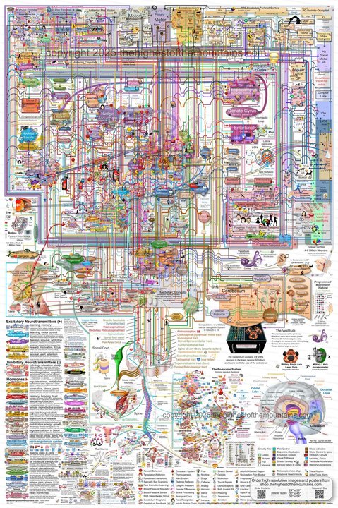 Image 1757978198_image0.jpg