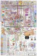 1757978198 image0 thumb