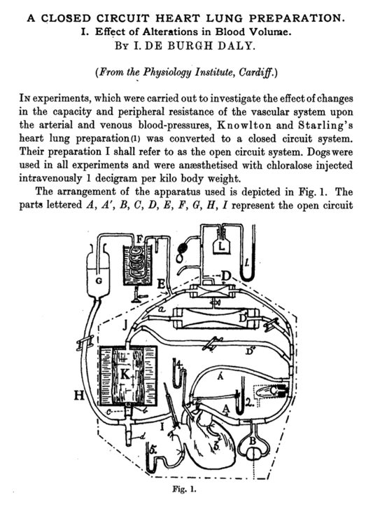 Image 1758250393_share_123949640971903211.png