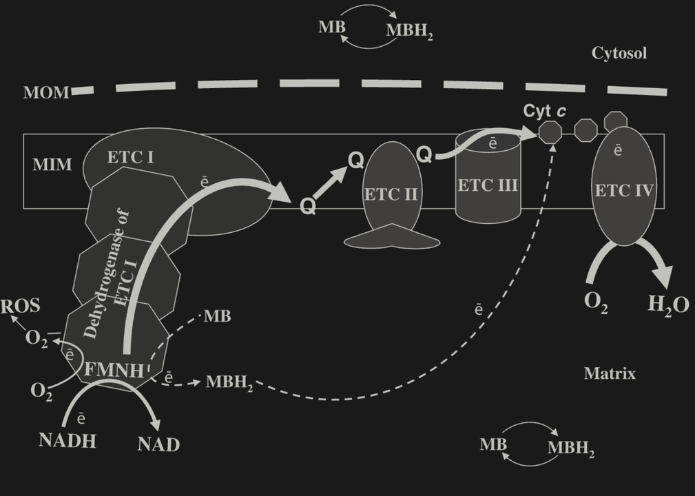Image 1758559337_mb_etc.png