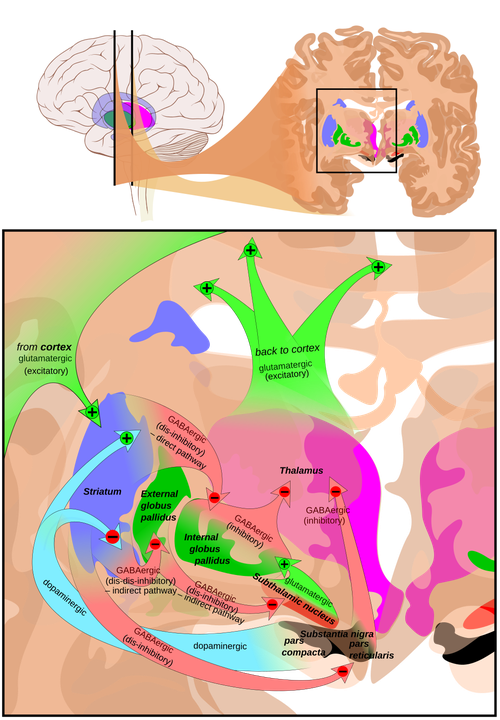 Image 1759893789_image0.png