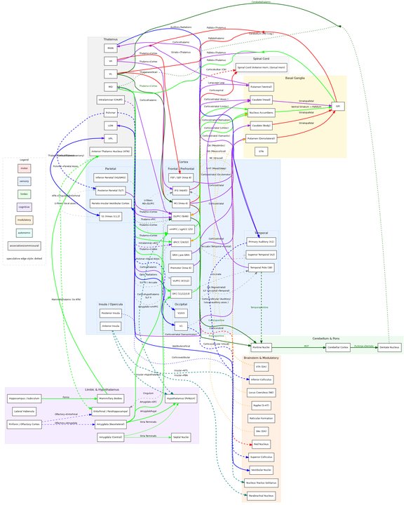 Image 1759930427_brain_connectome.png