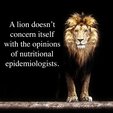 1754511397 lion nutritional epidemiologists thumb